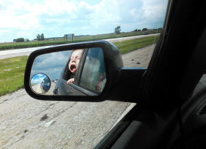 kids-act-like-animals-car__700