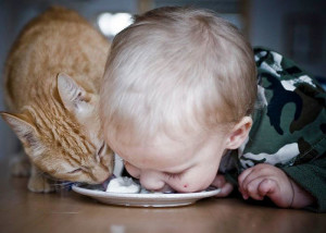 kids-act-like-animals-eating-with-cat__700