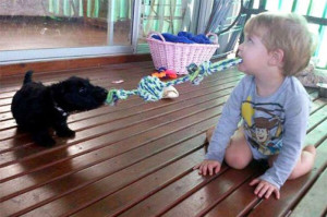 kids-act-like-animals-playing-like-a-puppy__700
